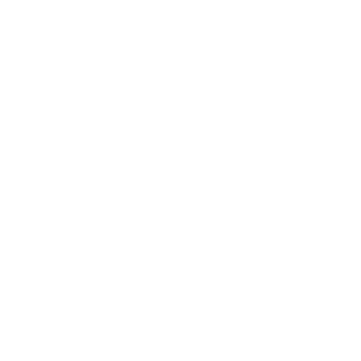 Women Bag